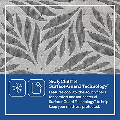 Sealy Posturepedic Plus, Euro Pillow Top 14-Inch Medium Mattress with Surface-Guard - Twin